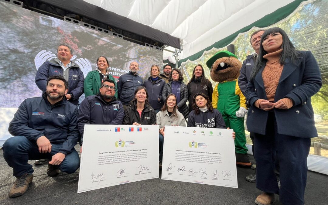 Voluntariado para la reforestación de la Reserva Nacional Lago Peñuelas: una oportunidad para impulsar el desarrollo y la sostenibilidad